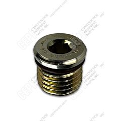 108120 Hex Plug-Big