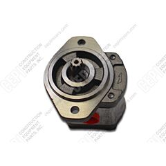 Schwing Gear Pump-Ccw
