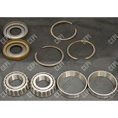 Rex Roller Bearing Kit